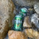 먼동1펜션 | 양평계곡 바로 옆 먼동펜션 내돈내산 후기 + 꿀팁까지