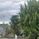 몽돌하우스펜션 이미지