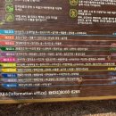 수리산도립공원 둔대로 주차장 이미지