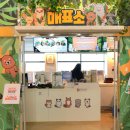 경기도 아이랑 가볼만 한 실내 동물원 테이블에이 파주점 후기