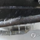 쌍방울주 이미지