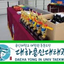 용인대석사 대하 태권도 이미지