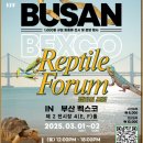 크레도 코리아 | 부산 코리아 렙타일포럼 벡스코 2전시관 파충류분양 및 전시(feat.내돈내산후기)