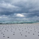 뜨락애별 이미지