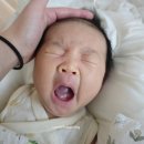 백두체육관 2도장 | [D+37] 산후도우미 첫날 후기 탯줄도장 만들기 DIY