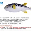 장인복국 이미지