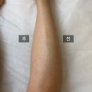 보배헤어클럽