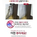 ★신제품★곰팡이제거30초 "곰팡이제거제 매직프로" 기능강화버전 이미지