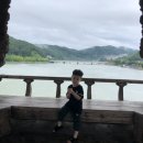 차세대헤어라인