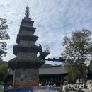 칠곡 송림사 오층전탑 | [만인의소리]칠곡 송림사 오층전탑 초본식물 제거 보존관리