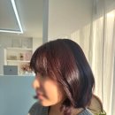 자산동291 | ✨단발머리 고객님 버건디 염색 리뷰✨