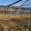 진척농장 이미지