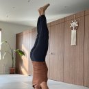 인동43길-4 이미지