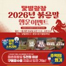 이벤트광장 티스토리