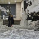 지현청개구리 | 비틀거리다 깨지는 두려움은 언젠가 설렘으로 바뀔 거란 걸 난 알아