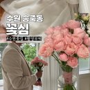 수원 꽃집 꽃심 웨딩촬영 부케 장미부케 솔직 후기