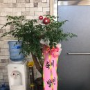 렙타일서플라이코리아