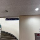 #22 수원수영장 수원체육문화센터 자유수영 후기