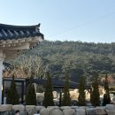 스테이선광