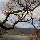 두물머리공원 이미지