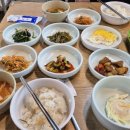 나무서리어죽 이미지