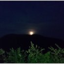 월출수산 네이버블로그