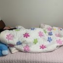 하동수지 이미지