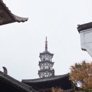 G1337 | 2024.12 중국 취저우(衢州) 출장기-1편(동방항공 (MU8602), 상해 홍차오공항 기차역 근처 호텔 추천 및...