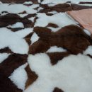 수선과 세탁 이미지