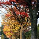 제물포여자중학교 이미지