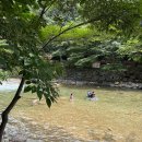 옥룡농장 이미지