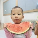 ❤️수박오감놀이❤️🍉 이미지