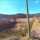 박사건축공인중개사사무소 이미지