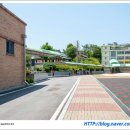 가평초등학교 앞 이미지