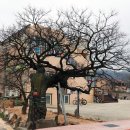 해변당구장 이미지