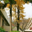 남강고등학교 이미지