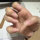 레푸스 남포점 네일포시즌 이미지