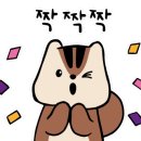 루루마루 이미지