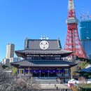 시바나라 | 일본 도쿄타워 벚꽃: 3월초 시바공원 카와즈자쿠라 개화 상황