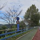 탄금공원 (탄금대로 방향) 이미지