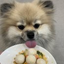 댕가앤쿡 이미지