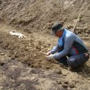 소쿠리농장 이미지