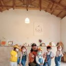 자파리203 이미지