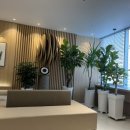 늘이비인후과의원 이미지