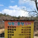 정인한증타운