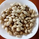 방주농장 이미지