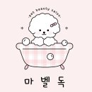 마벨독 이미지