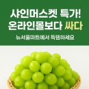 뉴서울할인마트