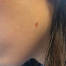 깊은숲한의원 이미지