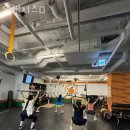 오렌지스웻 이미지